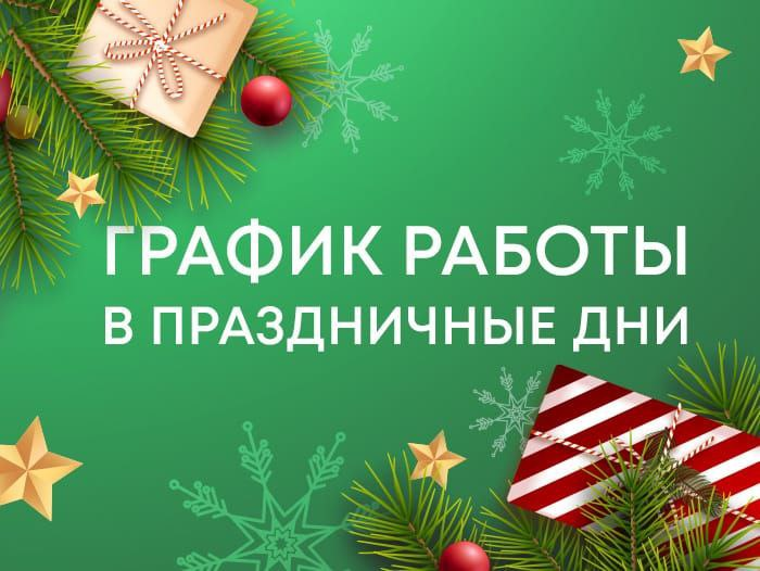 График работы ГБУЗ "Иссинская участковая больница" с 29.12.2024 по 08.01.2025г.